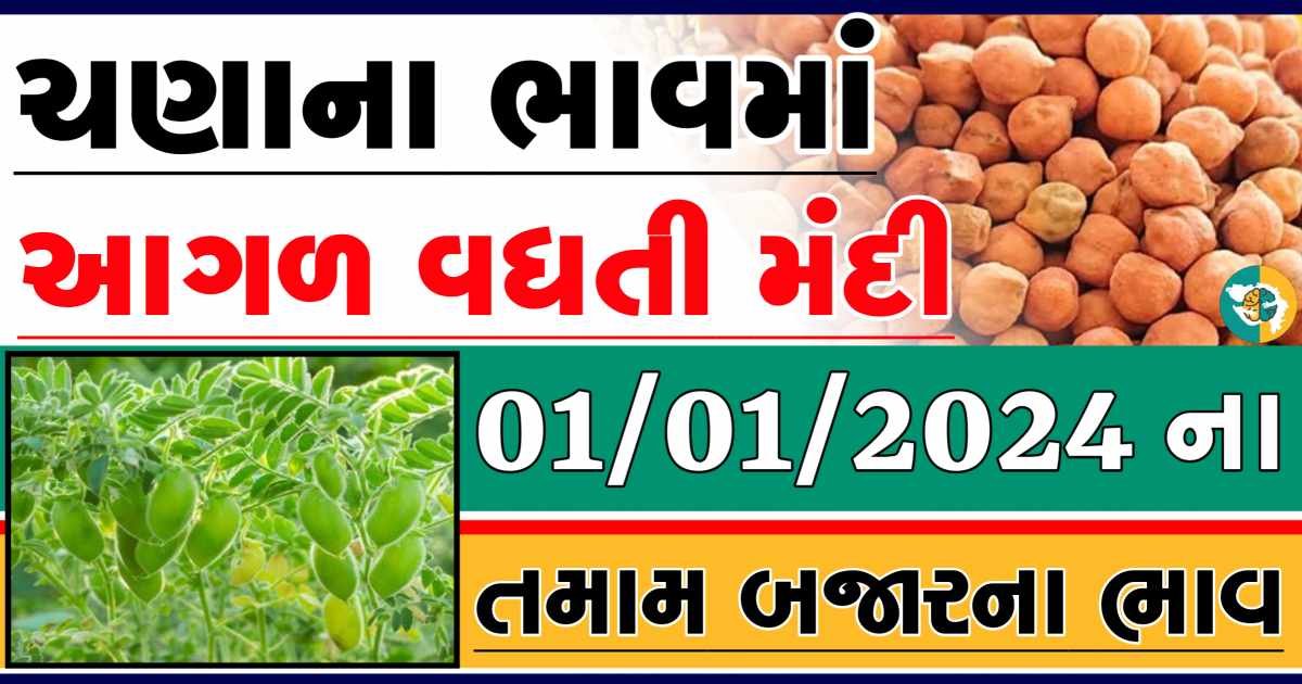 Today 01/01/2024 Chickpeas Apmc Rate આજના ચણાના બજાર ભાવ gkmarugujarat.com