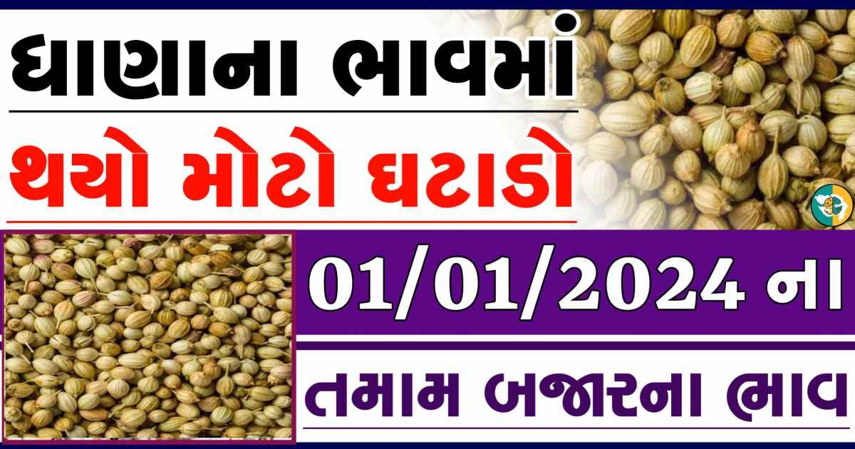 Today 01/01/2024 Coriander Apmc Rate આજના ધાણાના બજાર ભાવ gkmarugujarat.com