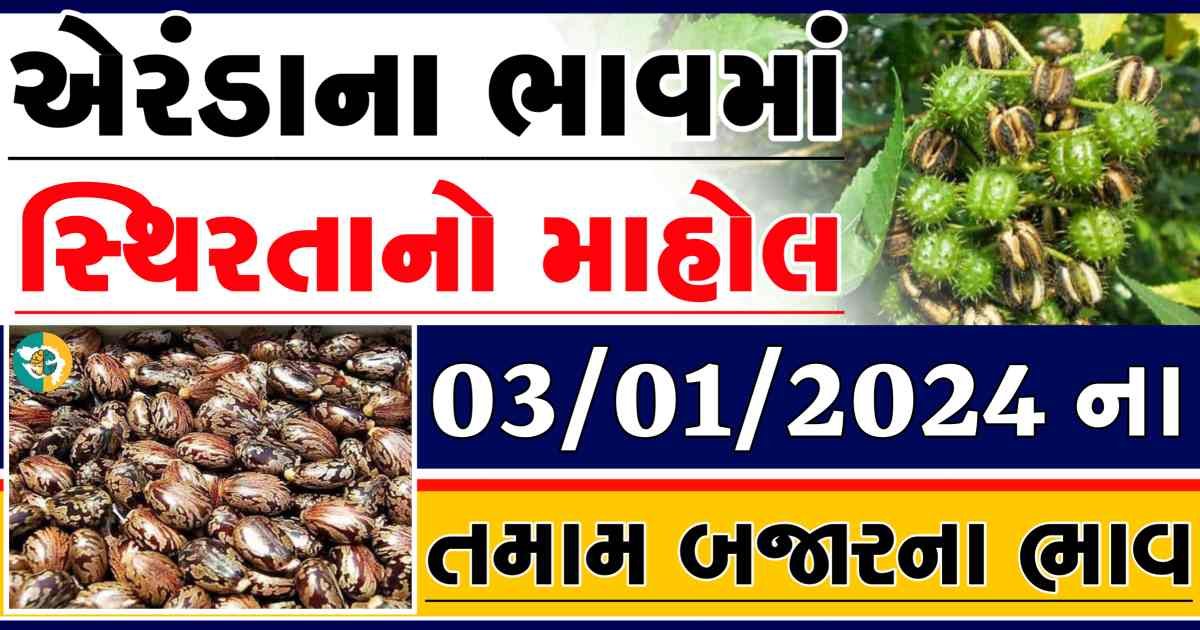 Today 03/01/2024 Eranda Apmc Rate આજના એરંડાના બજાર ભાવ gkmarugujarat.com