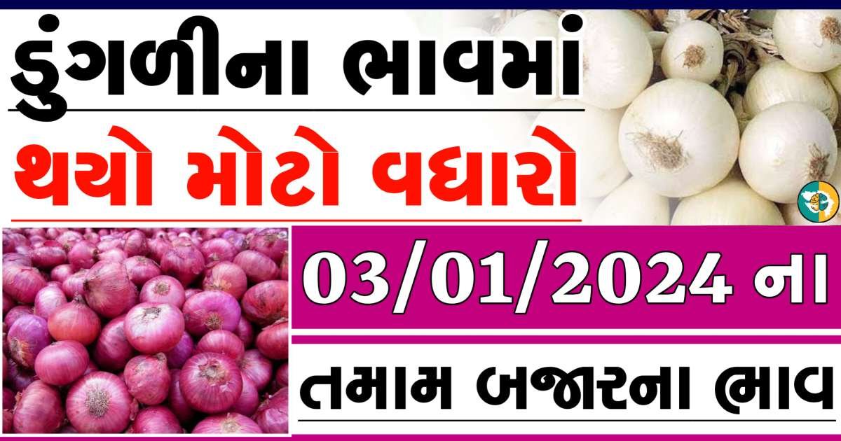 Today 03/01/2024 Onion Apmc Rate આજના લાલ અને સફેદ ડુંગળીના બજાર ભાવ Gkmarugujarat.com