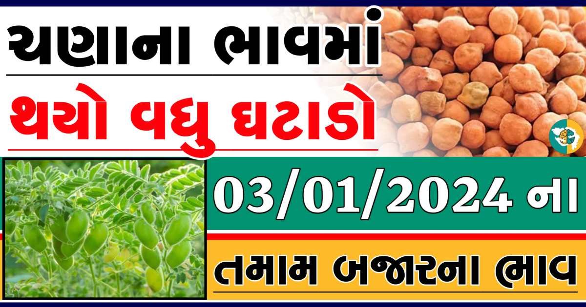 Today 03/01/2024 Chickpeas Apmc Rate આજના ચણાના બજાર ભાવ gkmarugujarat.com