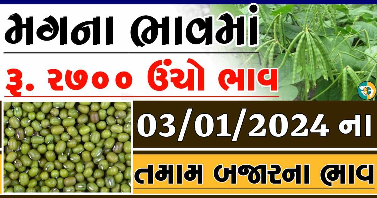 Today 03/01/2024 Mag Apmc Rate આજના મગના બજાર ભાવ gkmarugujarat.com