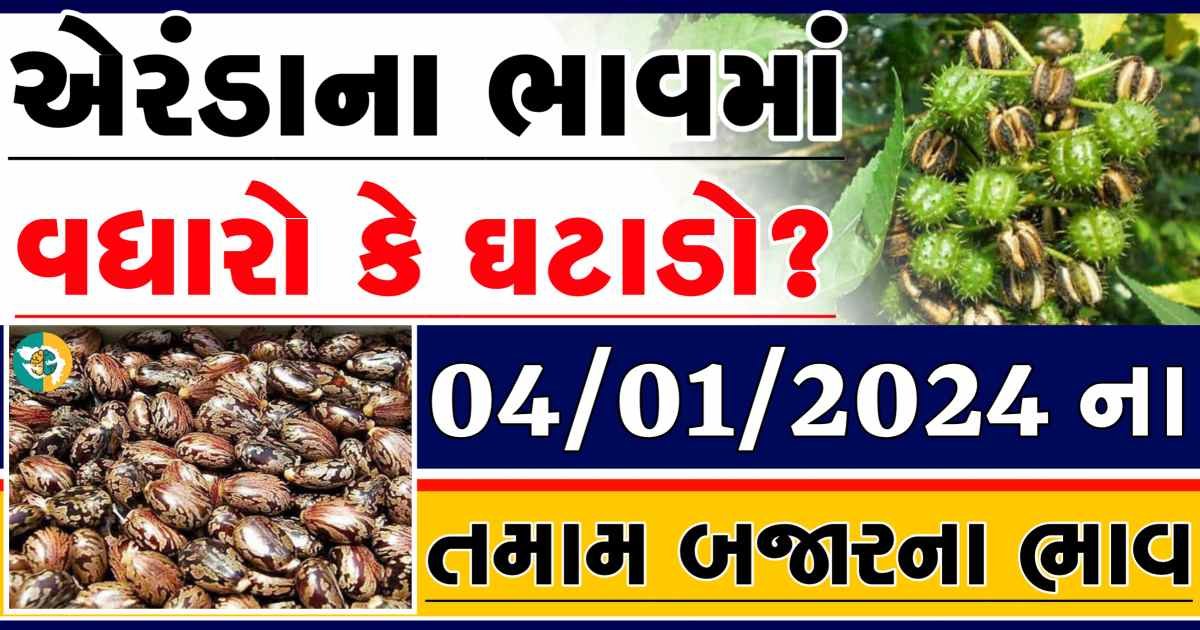 Today 04/01/2024 Eranda Apmc Rate આજના એરંડાના બજાર ભાવ gkmarugujarat.com