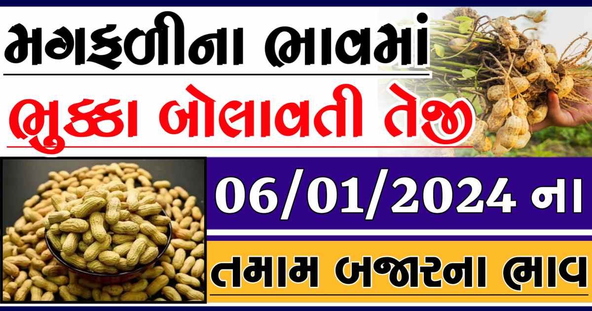 Today 06/01/2024 Peanuts Apmc Rate આજના જાડી અને જીણી મગફળીના બજાર ભાવ Gkmarugujarat.com