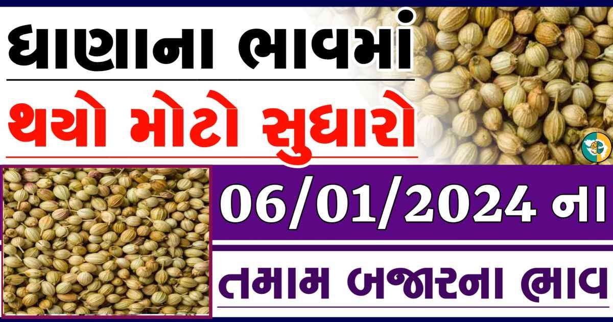 Today 06/01/2024 Coriander Apmc Rate આજના ધાણાના બજાર ભાવ gkmarugujarat.com