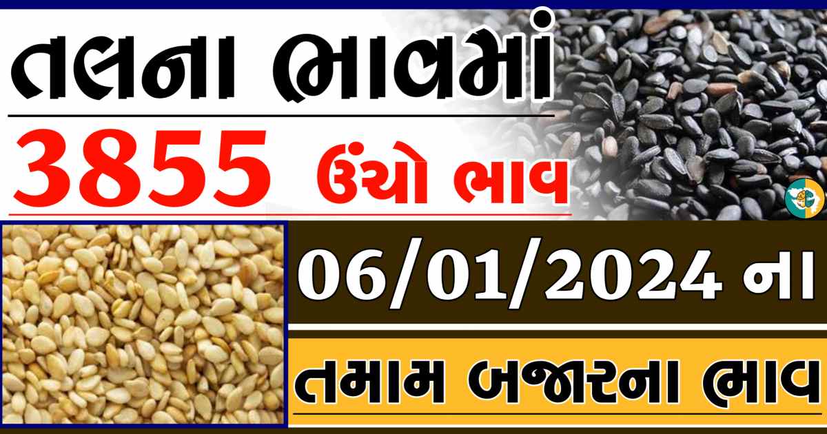 Today 06/01/2024 Sesame Apmc Rate આજના સફેદ અને કાળા તલના બજાર ભાવ Gkmarugujarat.com