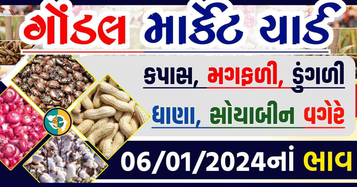 Today 06/01/2024 Gondal Apmc Rate આજના ગોંડલ માર્કેટ યાર્ડના બજાર ભાવ gkmarugujarat.com