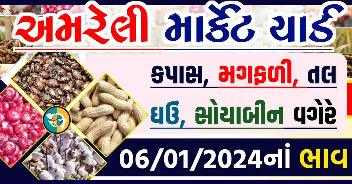 Today 06/01/2024 Amreli Apmc Rate આજના અમરેલીના બજાર ભાવ Gkmarugujarat.com