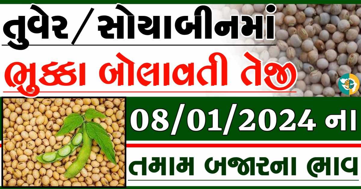 08/01/2024 Turmeric Soybeans Apmc Rate આજના તુવેર અને સોયાબીનના બજાર ભાવ gkmarugujarat.com