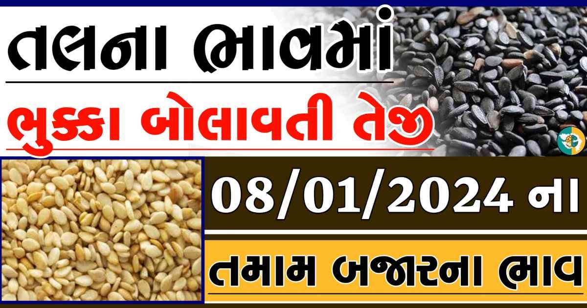 Today 08/01/2024 Sesame Apmc Rate આજના સફેદ અને કાળા તલના બજાર ભાવ Gkmarugujarat.com