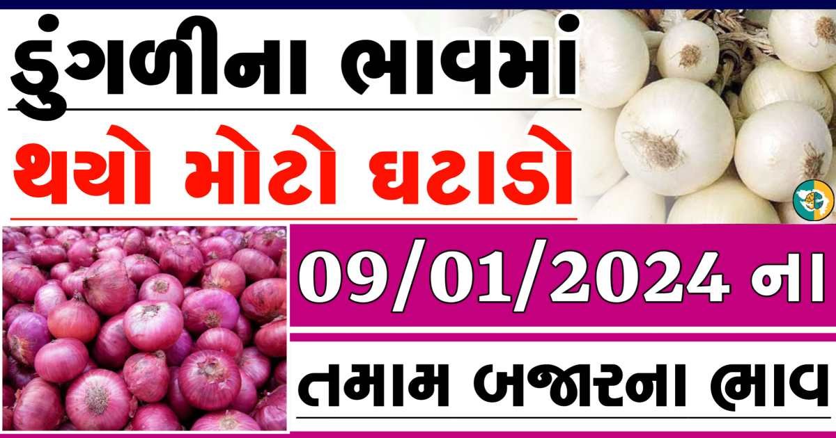 Today 09/01/2024 Onion Apmc Rate આજના લાલ અને સફેદ ડુંગળીના બજાર ભાવ Gkmarugujarat.com