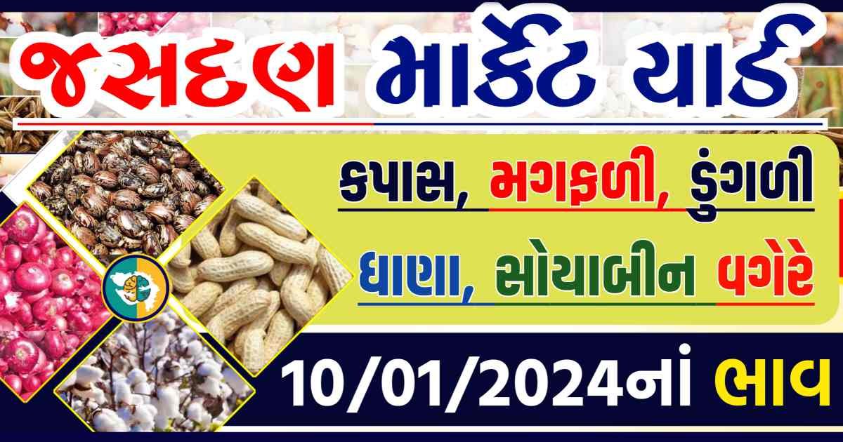 Today 10/01/2024 Jasdan Apmc Rate આજના જસદણના બજાર ભાવ Gkmarugujarat.com