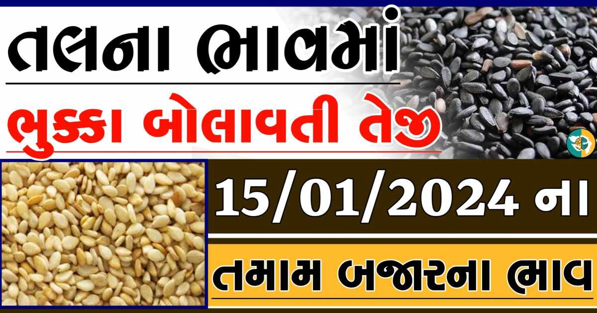 Today 15/01/2024 Sesame Apmc Rate આજના સફેદ અને કાળા તલના બજાર ભાવ Gkmarugujarat.com