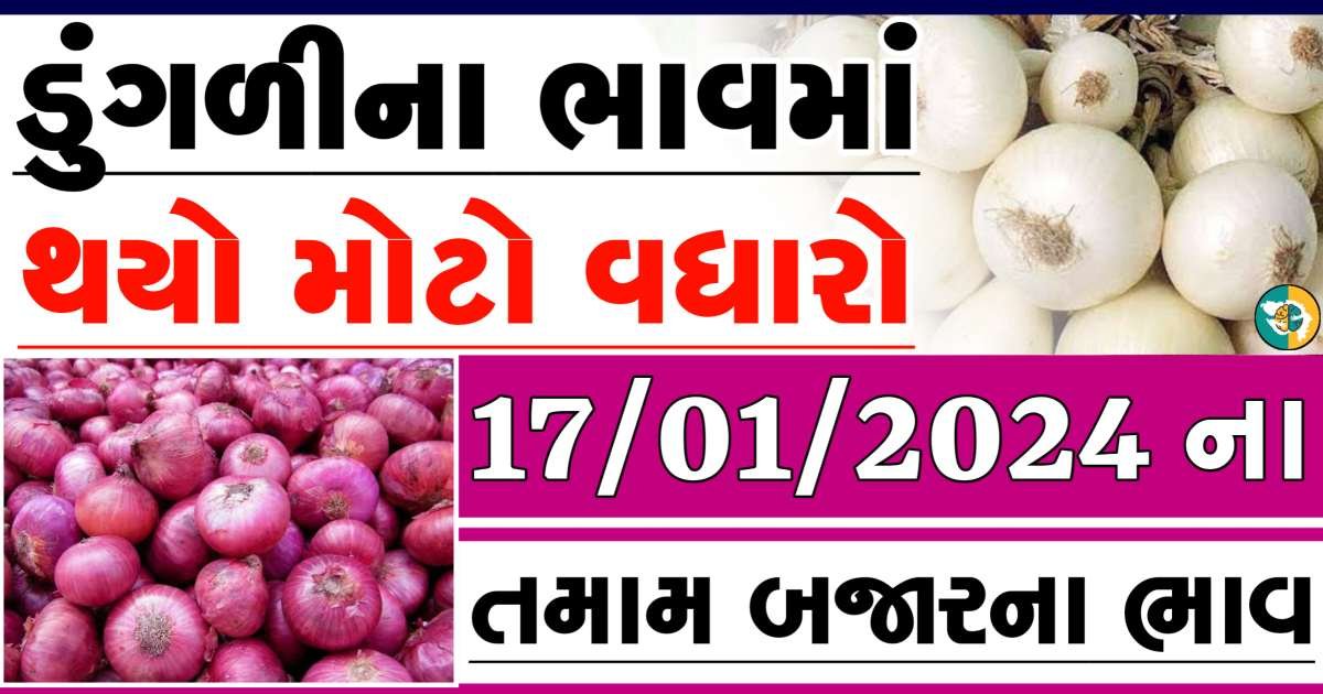 Today 17/01/2024 Onion Apmc Rate આજના લાલ અને સફેદ ડુંગળીના બજાર ભાવ Gkmarugujarat.com