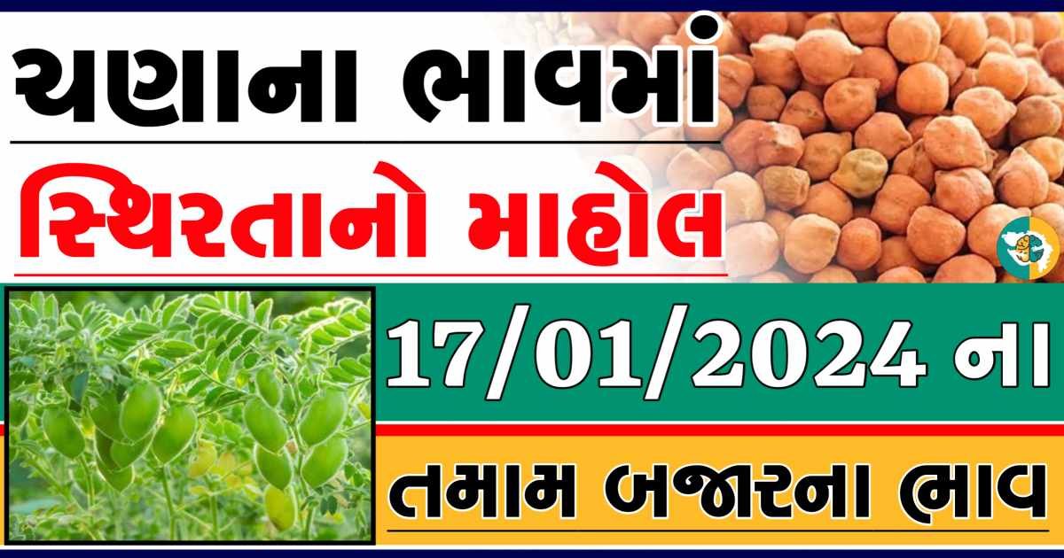 Today 17/01/2024 Chickpeas Apmc Rate આજના ચણાના બજાર ભાવ gkmarugujarat.com