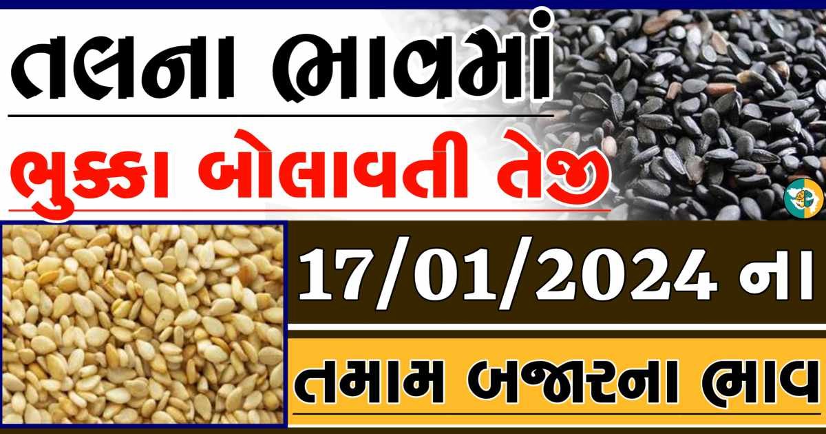 Today 17/01/2024 Sesame Apmc Rate આજના સફેદ અને કાળા તલના બજાર ભાવ Gkmarugujarat.com