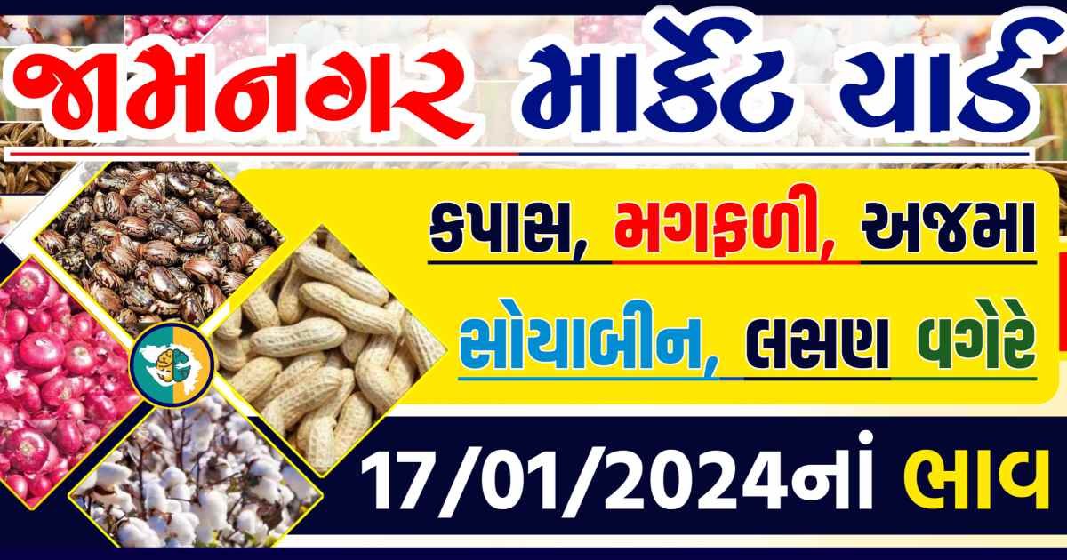 Today 17/01/2024 Jamnagar Apmc Rate આજના જામનગરના બજાર ભાવ Gkmarugujarat.com