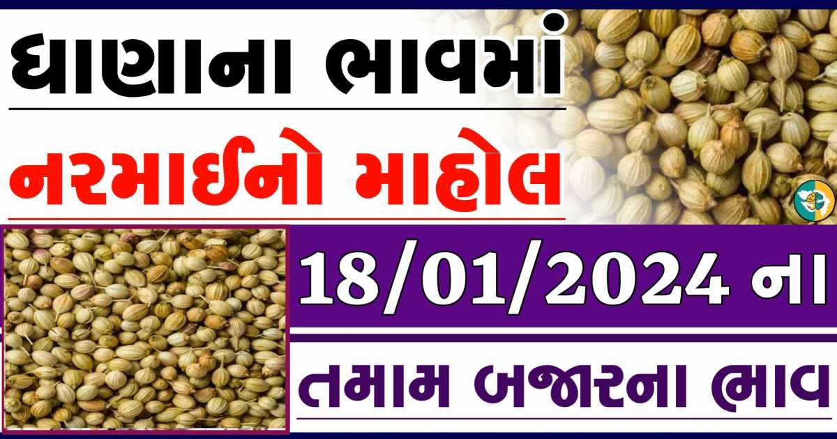 Today 18/01/2024 Coriander Apmc Rate આજના ધાણાના બજાર ભાવ gkmarugujarat.com