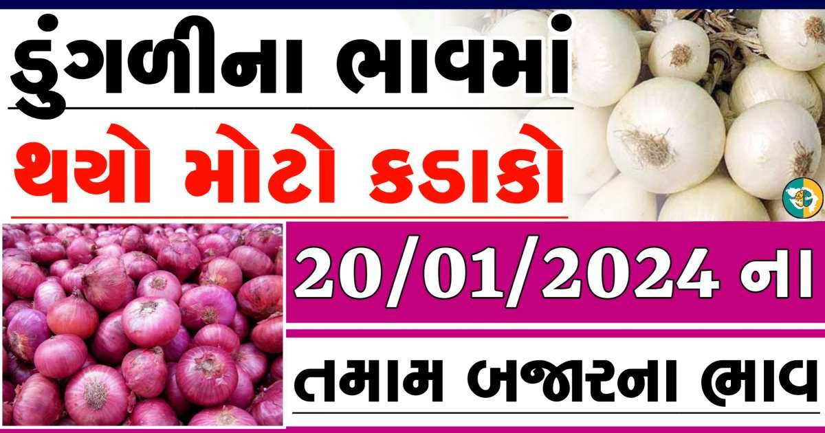 Today 20/01/2024 Onion Apmc Rate આજના લાલ અને સફેદ ડુંગળીના બજાર ભાવ Gkmarugujarat.com