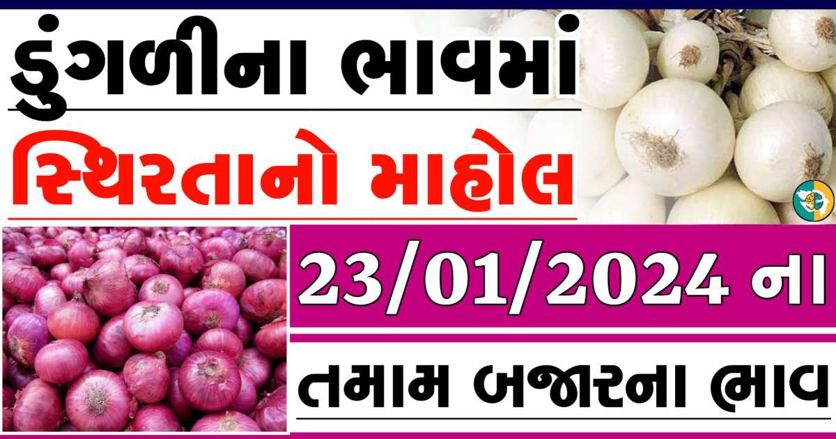 Today 23/01/2024 Onion Apmc Rate આજના લાલ અને સફેદ ડુંગળીના બજાર ભાવ Gkmarugujarat.com