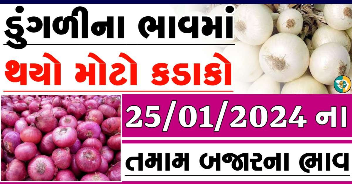 Today 25/01/2024 Onion Apmc Rate આજના લાલ અને સફેદ ડુંગળીના બજાર ભાવ Gkmarugujarat.com