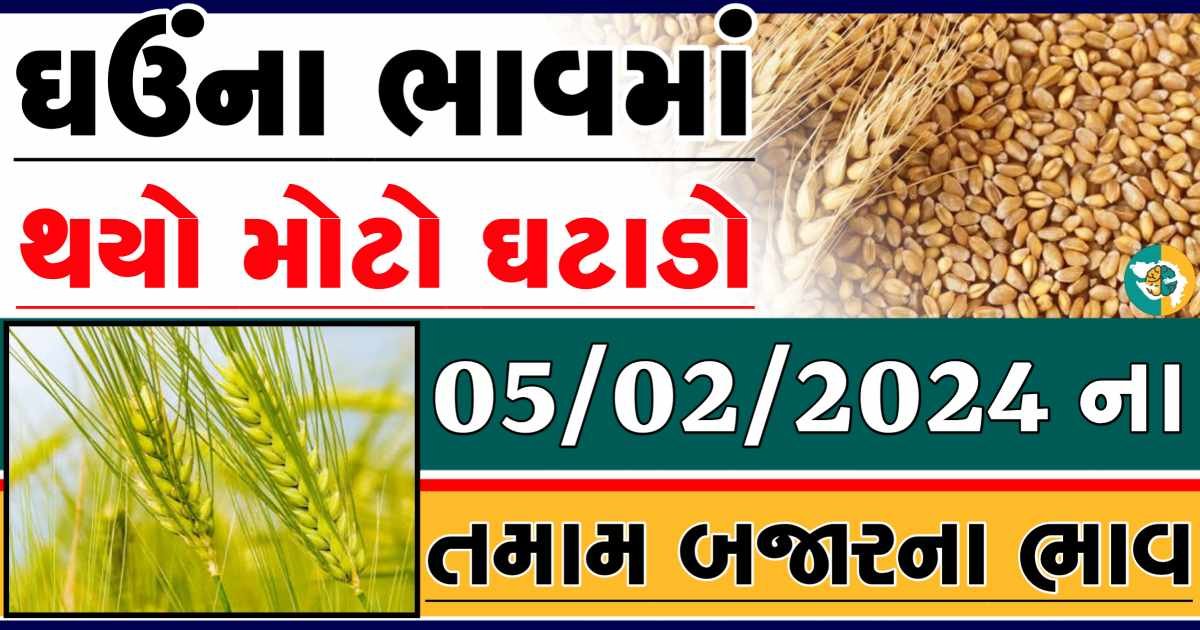 Today 05/02/2023 Wheat Apmc Rate આજના લોકવન અને ટુકડા ઘઉંના બજાર ભાવ gkmarugujarat.com