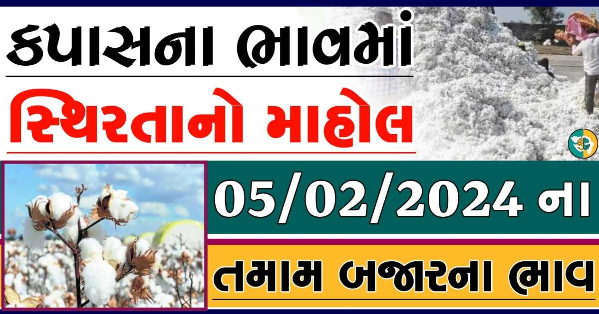 Today 05/02/2024 Cotton Apmc Rate gkmarugujarat.com