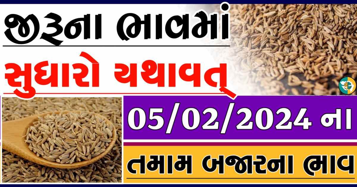 Today 05/02/2024 Jiru Apmc Rate આજના જીરુના બજાર ભાવ gkmarugujarat.com