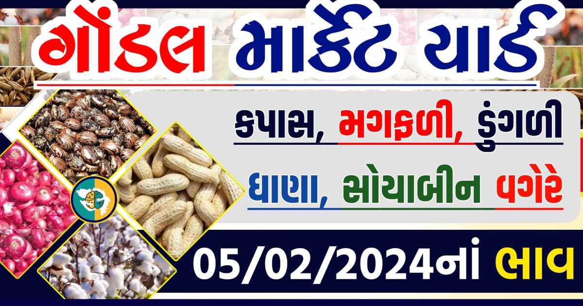 Today 05/02/2024 Gondal Apmc Rate આજના ગોંડલ માર્કેટ યાર્ડના બજાર ભાવ gkmarugujarat.com