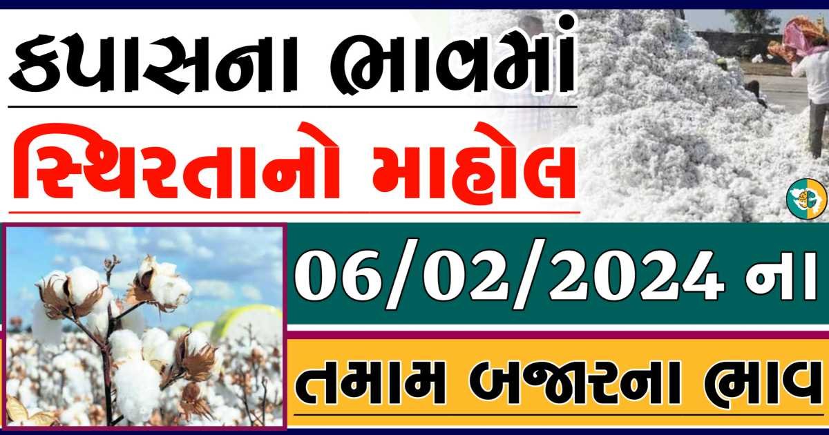 Today 06/02/2024 Cotton Apmc Rate gkmarugujarat.com