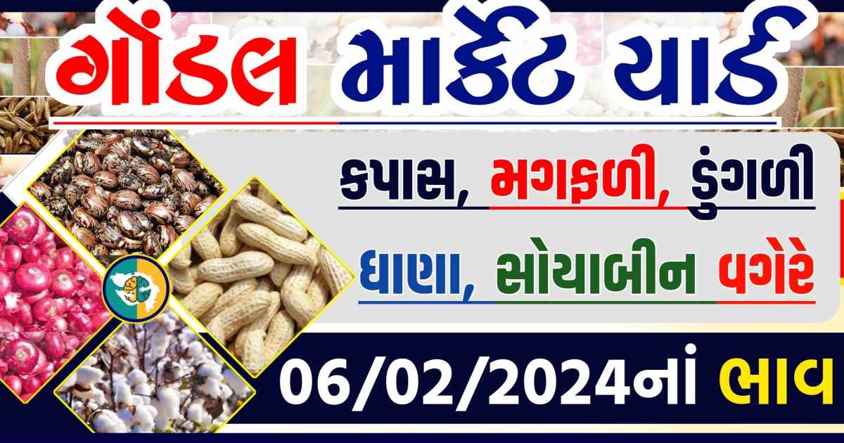 Today 06/02/2024 Gondal Apmc Rate આજના ગોંડલ માર્કેટ યાર્ડના બજાર ભાવ gkmarugujarat.com