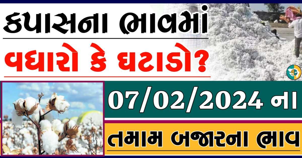 Today 07/02/2024 Cotton Apmc Rate gkmarugujarat.com