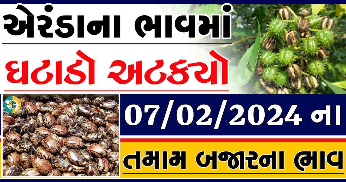 Today 07/02/2024 Eranda Apmc Rate આજના એરંડાના બજાર ભાવ gkmarugujarat.com