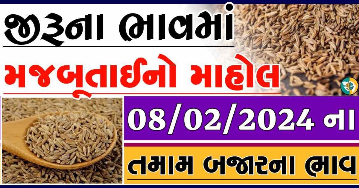 Today 08/02/2024 Jiru Apmc Rate આજના જીરુના બજાર ભાવ gkmarugujarat.com