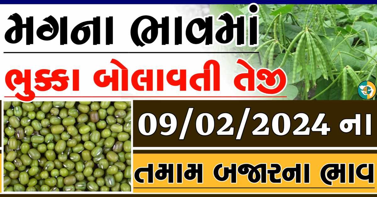 Today 09/02/2024 Mag Apmc Rate આજના મગના બજાર ભાવ gkmarugujarat.com