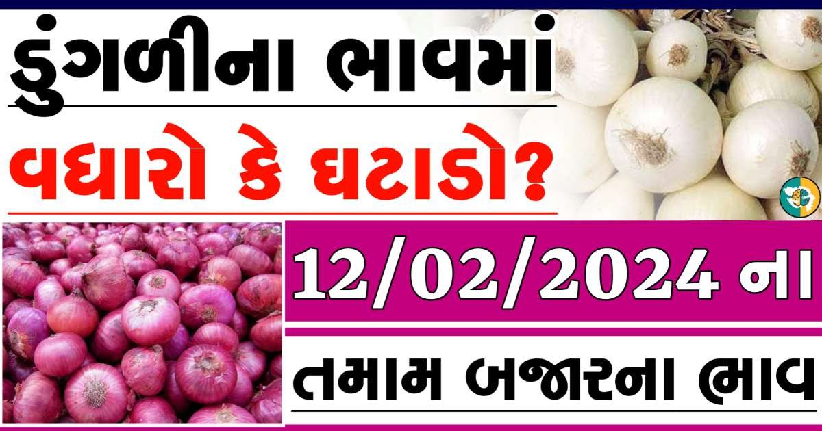 Today 12/02/2024 Onion Apmc Rate આજના લાલ અને સફેદ ડુંગળીના બજાર ભાવ Gkmarugujarat.com