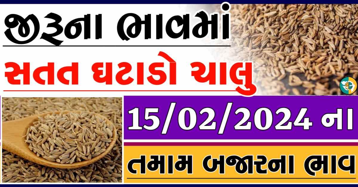 Today 15/02/2024 Jiru Apmc Rate આજના જીરુના બજાર ભાવ gkmarugujarat.com