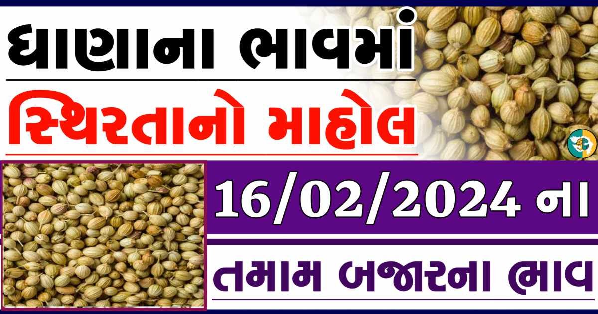 Today 16/02/2024 Coriander Apmc Rate આજના ધાણાના બજાર ભાવ gkmarugujarat.com