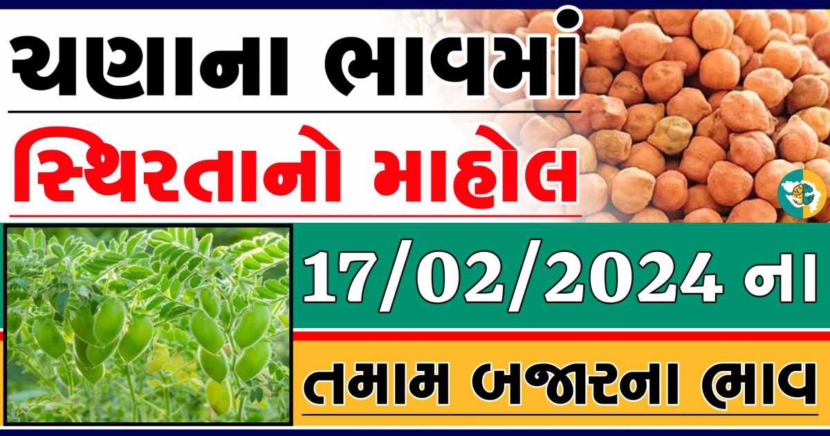 Today 17/02/2024 Chickpeas Apmc Rate આજના ચણાના બજાર ભાવ gkmarugujarat.com