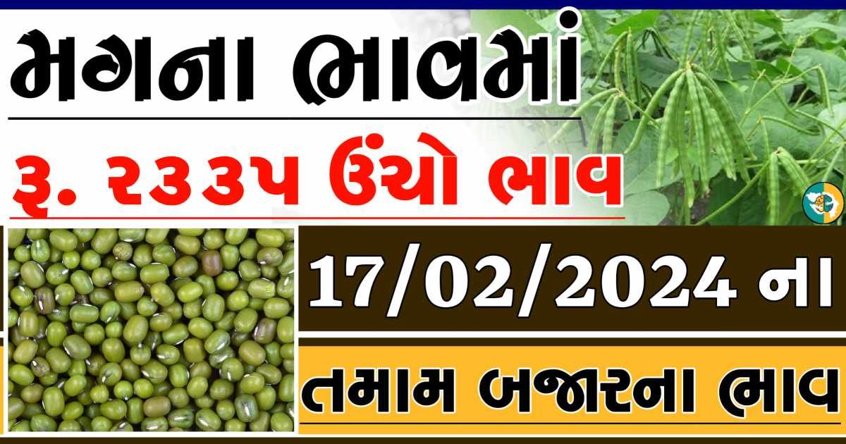 Today 17/02/2024 Mag Apmc Rate આજના મગના બજાર ભાવ gkmarugujarat.com