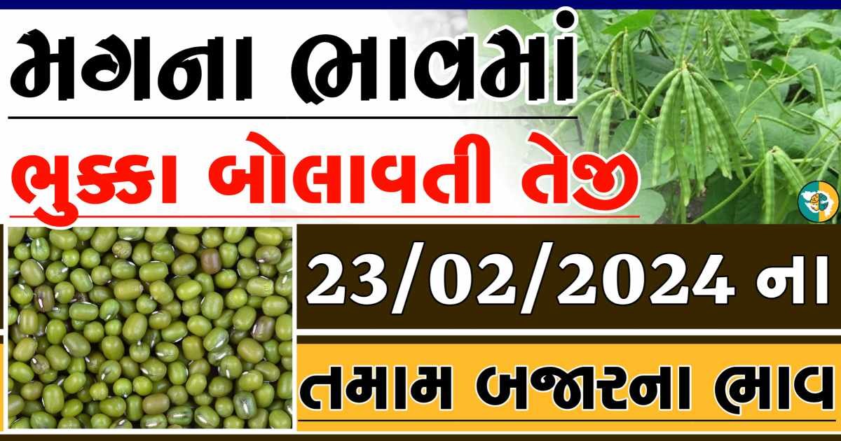 Today 23/02/2024 Mag Apmc Rate આજના મગના બજાર ભાવ gkmarugujarat.com