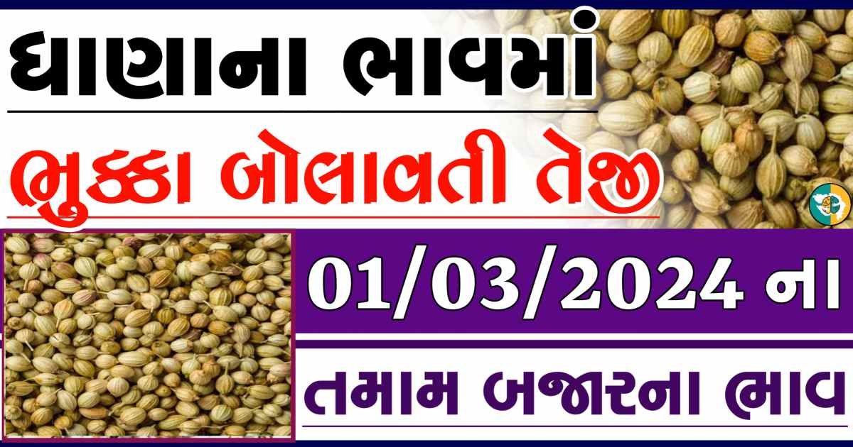 Today 01/03/2024 Coriander Apmc Rate આજના ધાણાના બજાર ભાવ gkmarugujarat.com