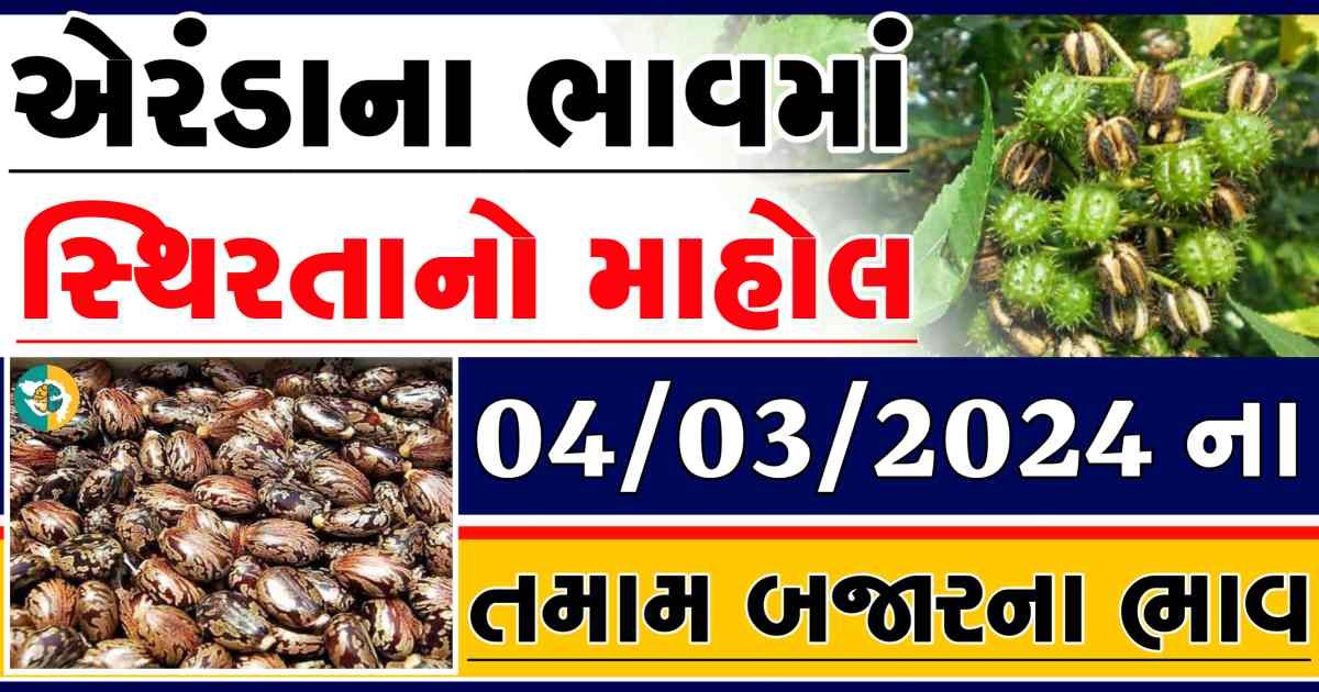 Today 04/03/2024 Eranda Apmc Rate આજના એરંડાના બજાર ભાવ gkmarugujarat.com