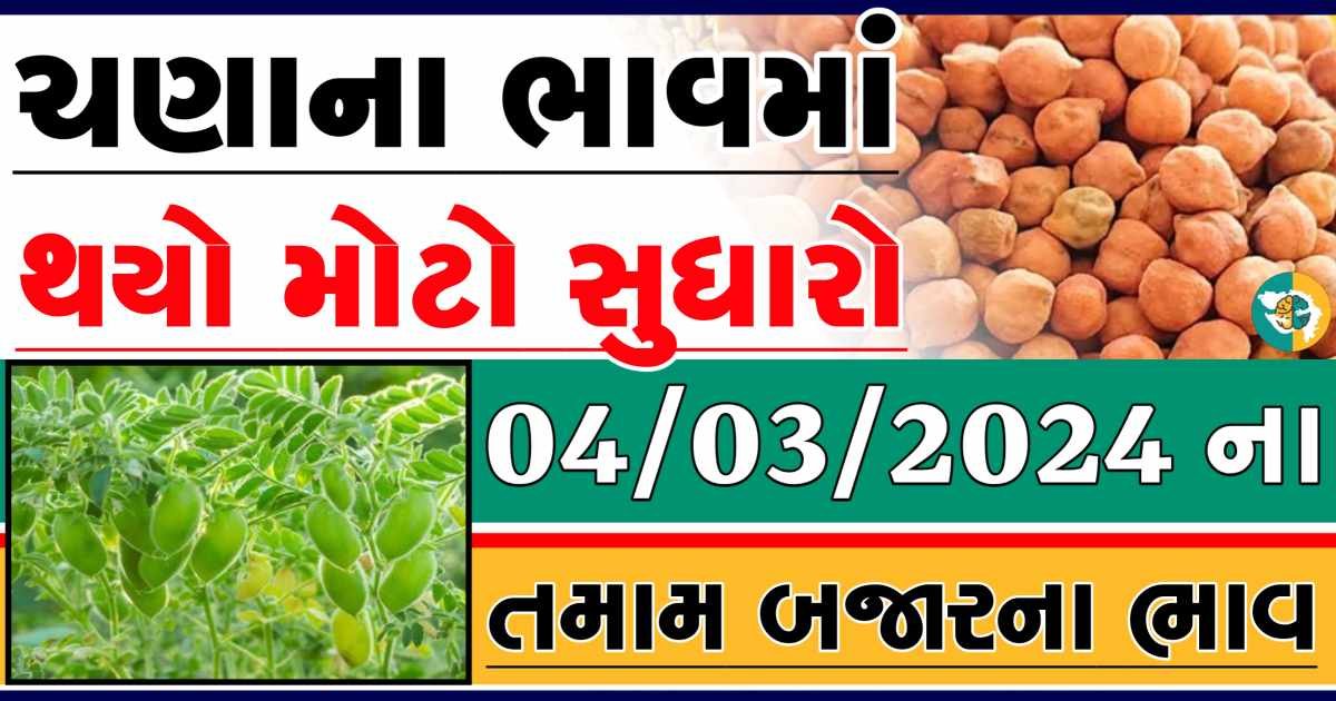 Today 04/03/2024 Chickpeas Apmc Rate આજના ચણાના બજાર ભાવ gkmarugujarat.com