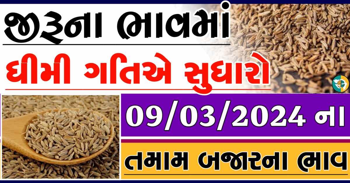 Today 09/03/2024 Jiru Apmc Rate આજના જીરુના બજાર ભાવ gkmarugujarat.com