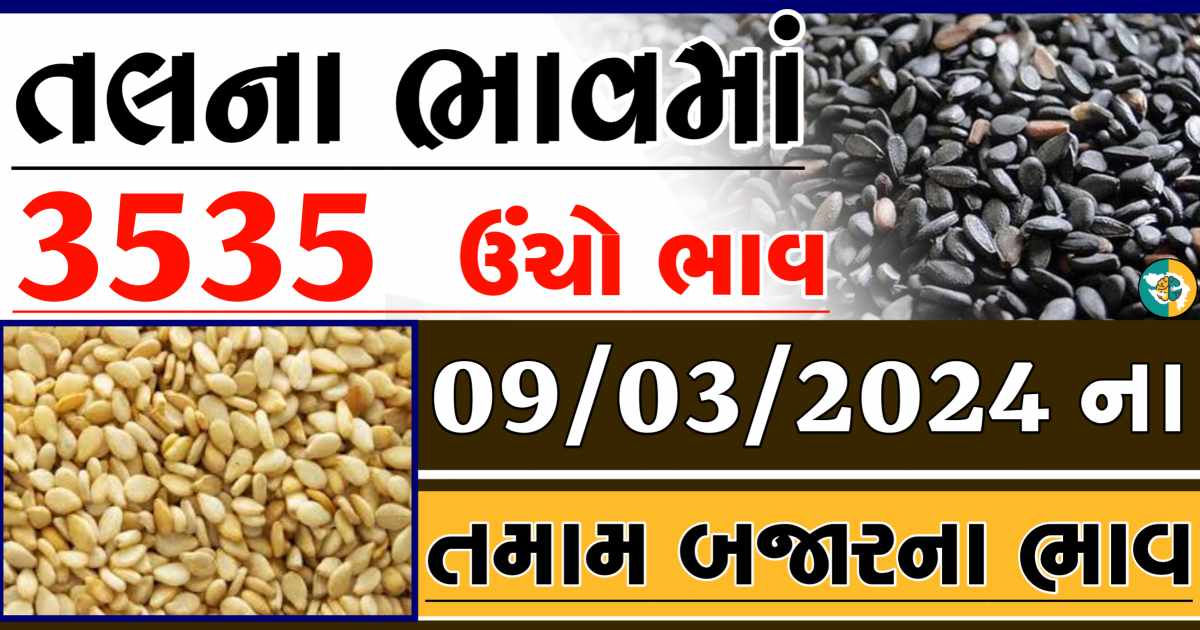 Today 09/03/2024 Sesame Apmc Rate આજના સફેદ અને કાળા તલના બજાર ભાવ Gkmarugujarat.com