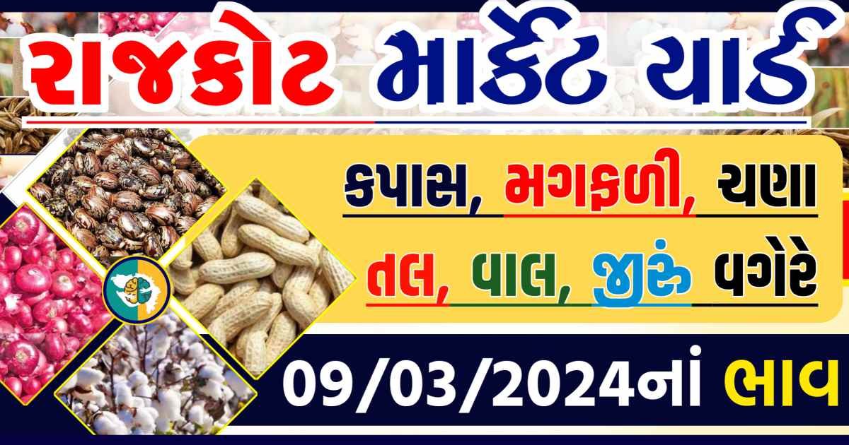 Today 09/03/2024 Rajkot Apmc Rate આજના રાજકોટના બજાર ભાવ Gkmarugujarat.com