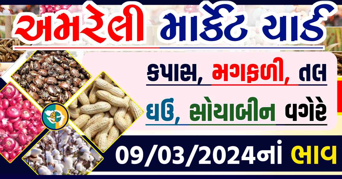 Today 09/03/2024 Amreli Apmc Rate આજના અમરેલીના બજાર ભાવ Gkmarugujarat.com