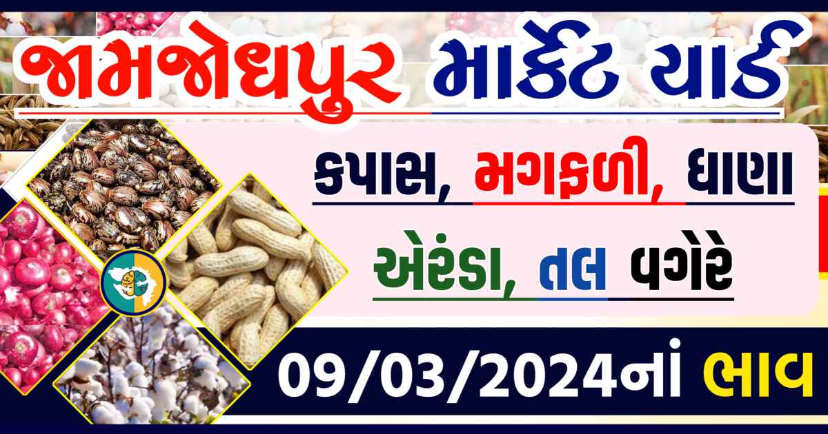 Today 09/03/2024 Jamjodhpur Apmc Rate આજના જામજોધપુરના બજાર ભાવ Gkmarugujarat.com