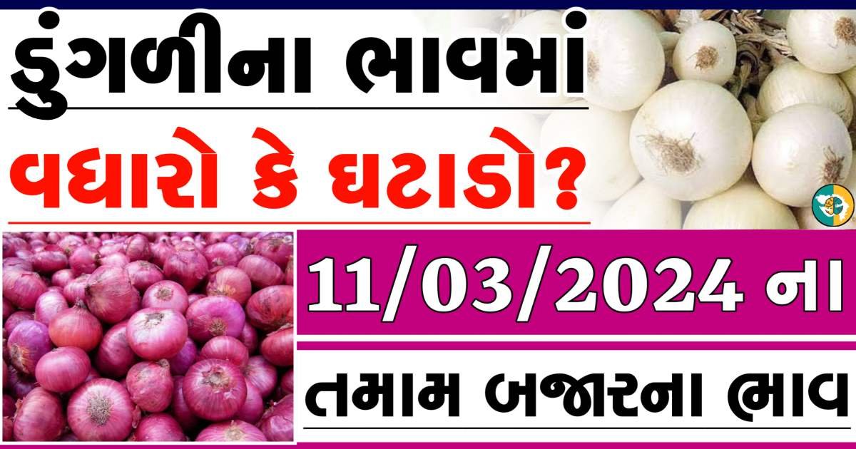 Today 11/03/2024 Onion Apmc Rate આજના લાલ અને સફેદ ડુંગળીના બજાર ભાવ Gkmarugujarat.com